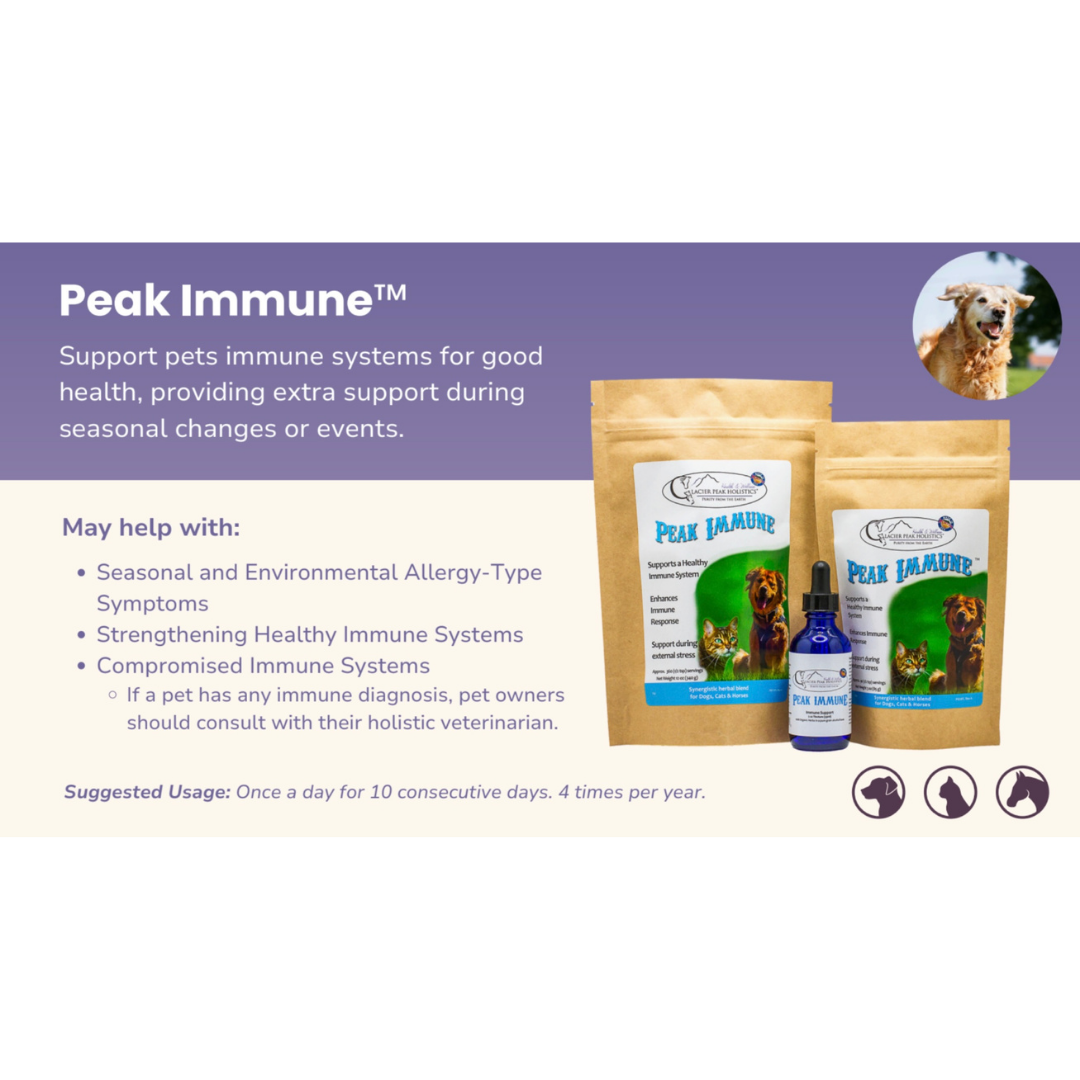 Glacier Peak Immune Powder | Herbal Immune Support