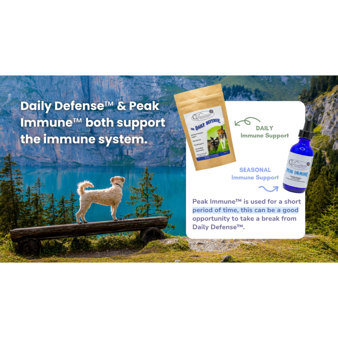 Glacier Peak Immune Powder | Herbal Immune Support