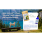 Glacier Peak Daily Defense | Natural Detox + Immune Support