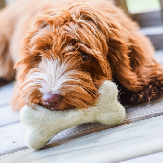 Awoo Organic Wool Bone Toy