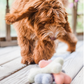Awoo Organic Wool Bone Toy