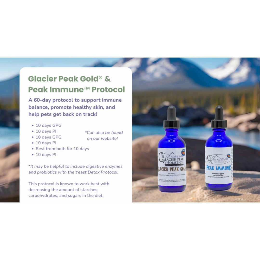 Glacier Peak Immune Powder | Herbal Immune Support