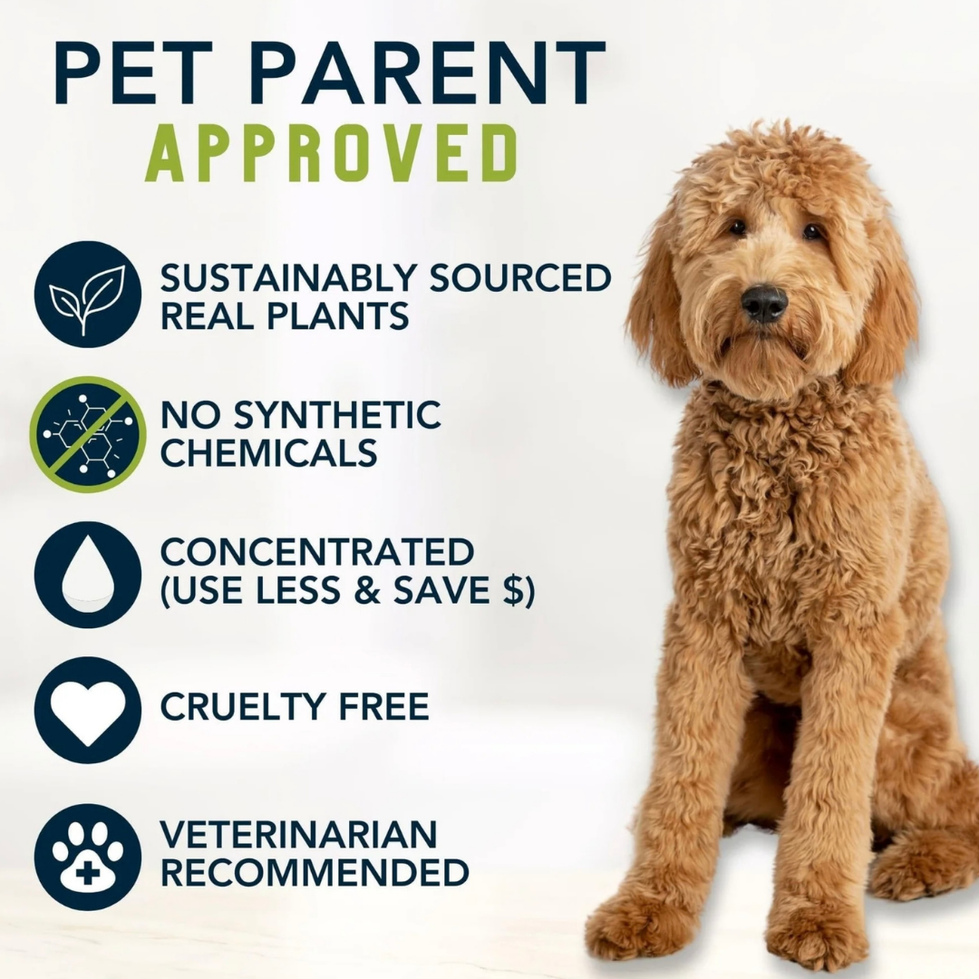 4-Legger Organic Shampoo Moisturize | Lemongrass