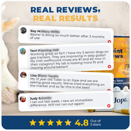 Jope Hip & Joint Chews | Natural UC-II Collagen + Omega-3 + Curcumin ...