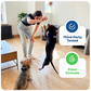 Jope Hip & Joint Chews | Natural UC-II Collagen + Omega-3 + Curcumin