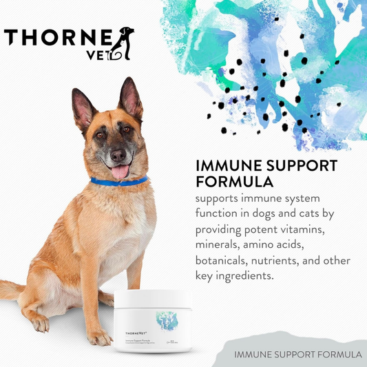 ThorneVet Immune Support | Whole-Body Immune Support + Antioxidants