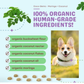 Cocotherapy Coco-Gems Training Treats | Moringa