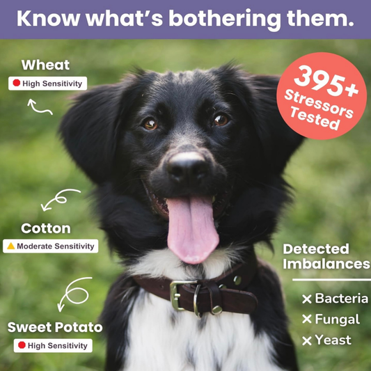 Glacier Peak Intolerance Test | Natural Sensitivity Assessment