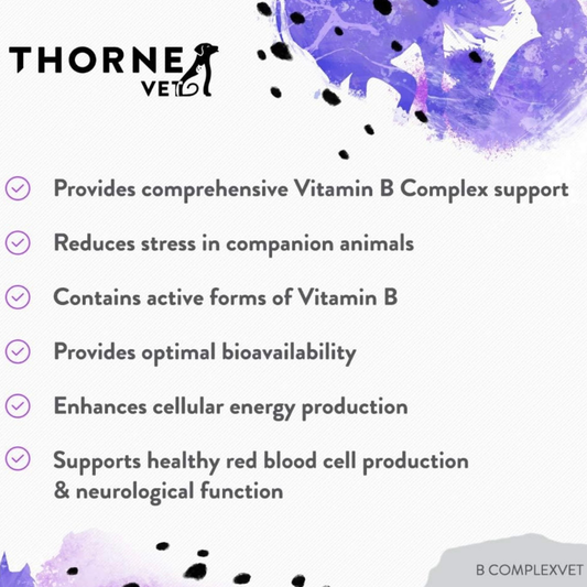 ThorneVet B-Complex Chews | Essential B Vitamin Support