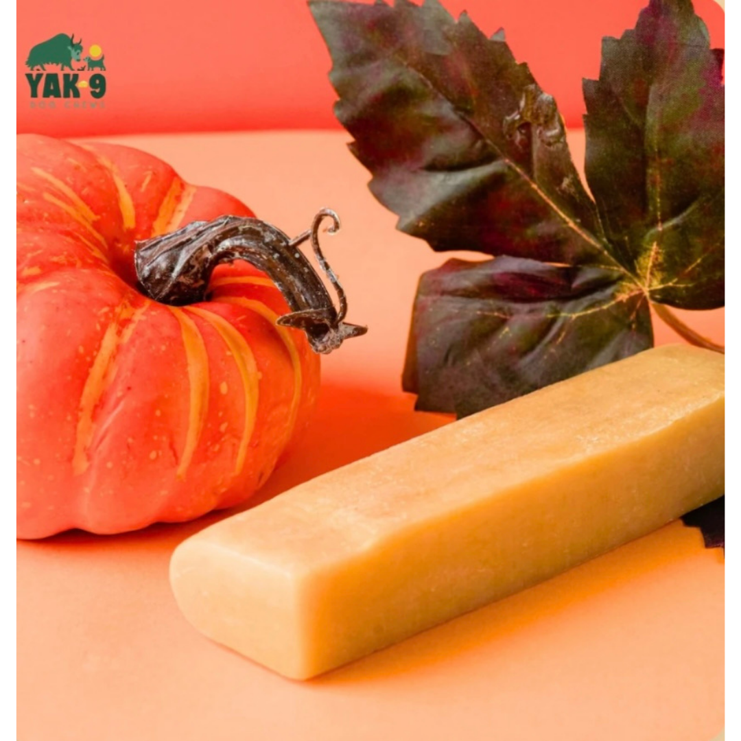 Yak9 Yak Chew | Pumpkin