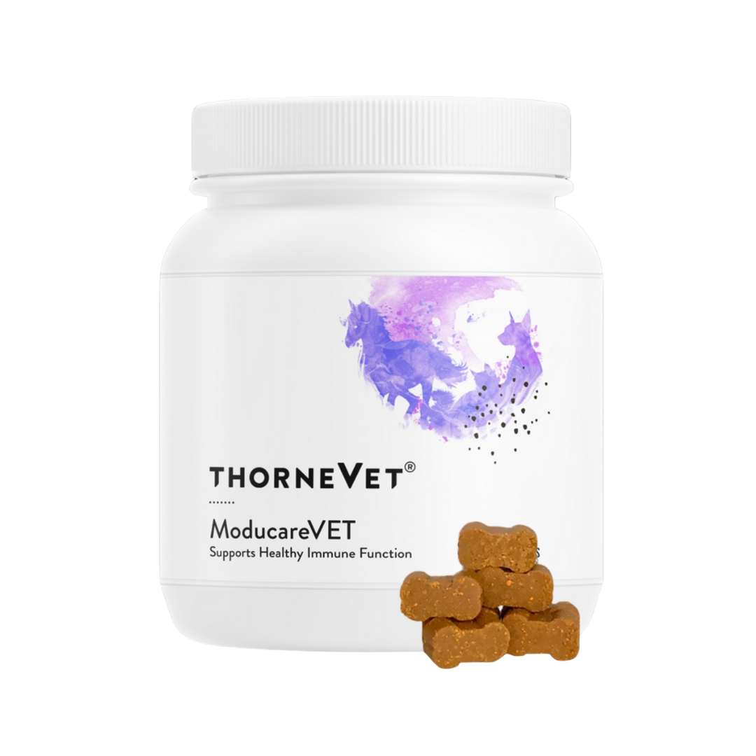 ThorneVet Moducare Chews | Immune + Allergy Support