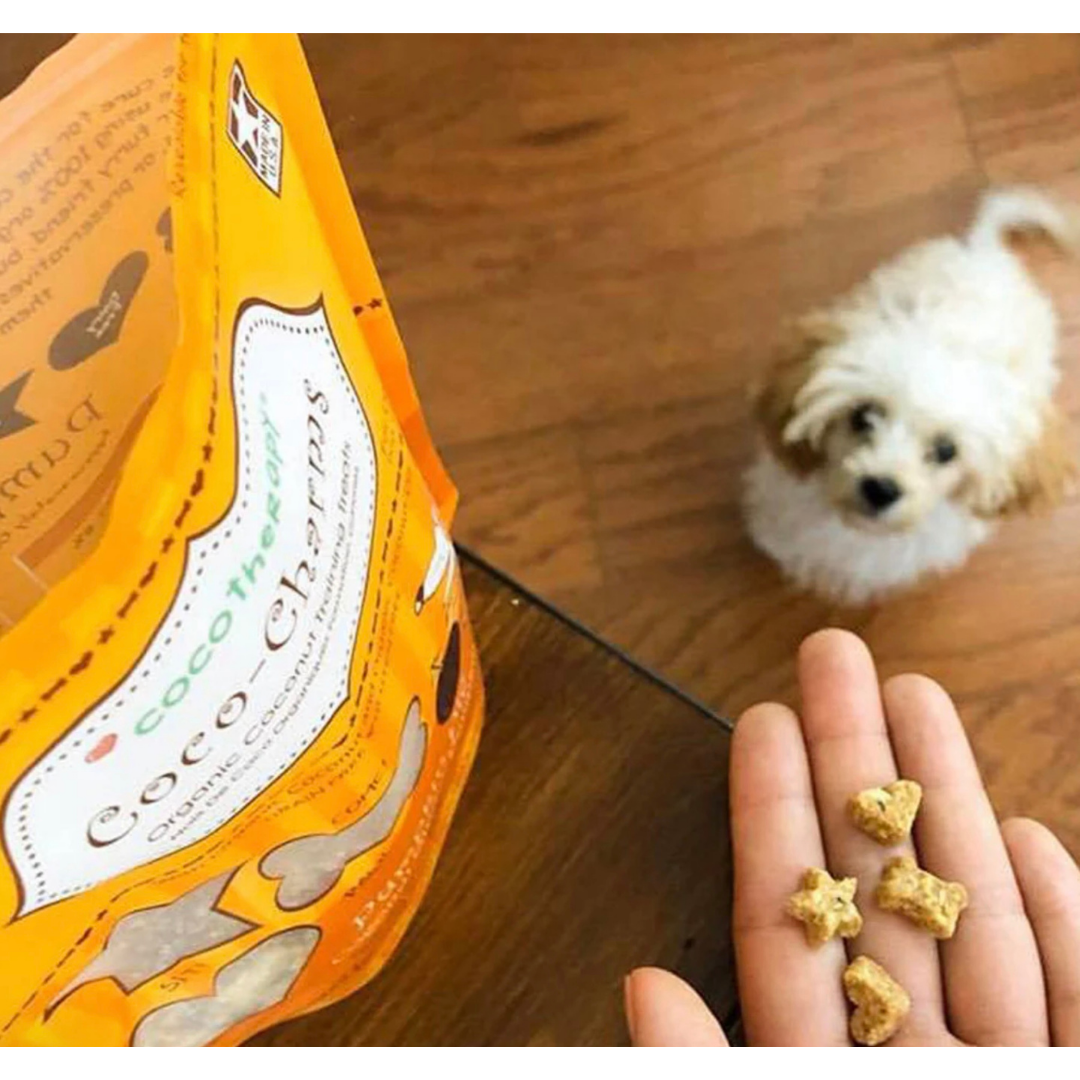CocoTherapy Coco-Charms Training Treats | Pumpkin Pie