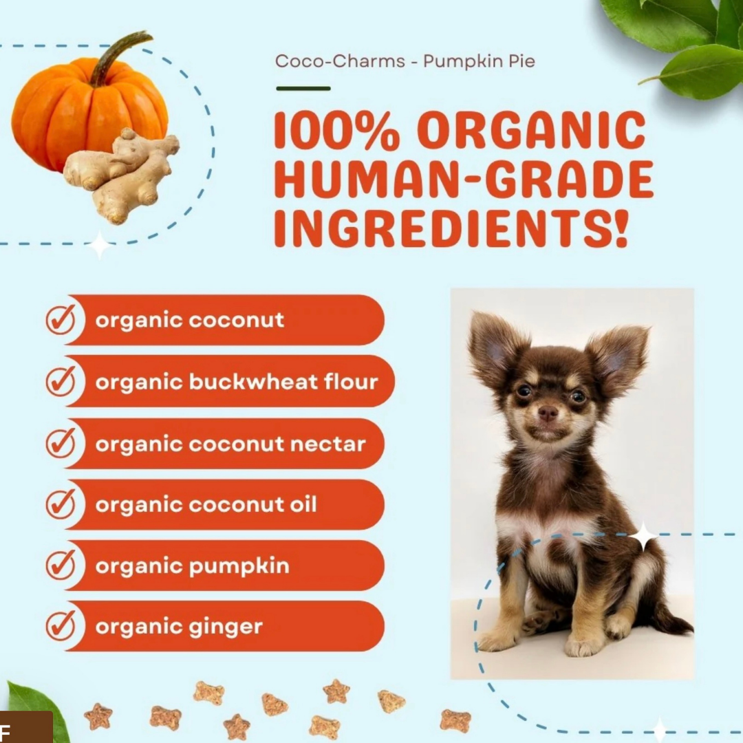 CocoTherapy Coco-Charms Training Treats | Pumpkin Pie