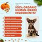 CocoTherapy Coco-Charms Training Treats | Pumpkin Pie