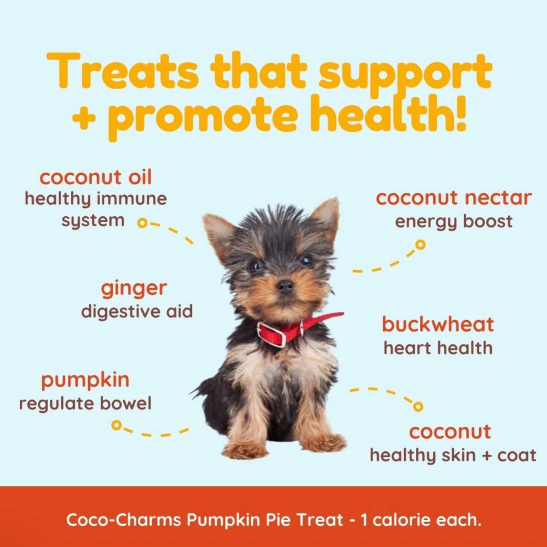 CocoTherapy Coco-Charms Training Treats | Pumpkin Pie