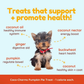 CocoTherapy Coco-Charms Training Treats | Pumpkin Pie