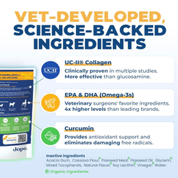Jope Hip & Joint Chews | Natural UC-II Collagen + Omega-3 + Curcumin ...
