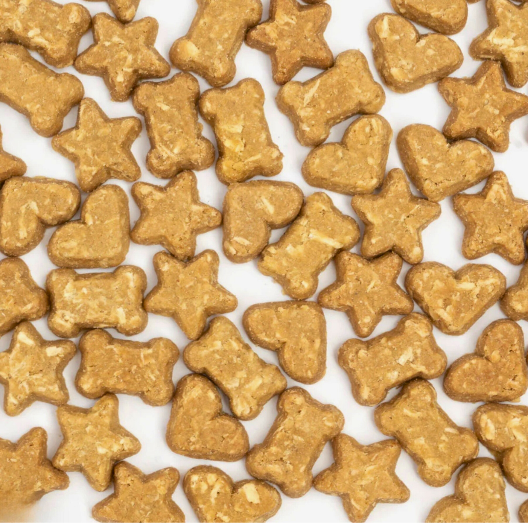 CocoTherapy Coco-Charms Training Treats | Pumpkin Pie