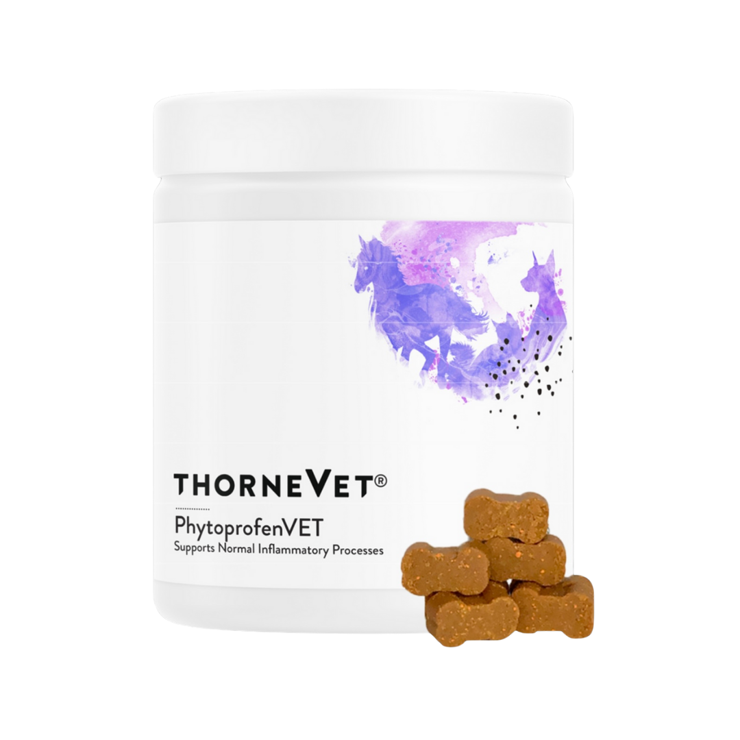 ThorneVet Phytoprofen Chews | Natural Anti-Inflammatory Support