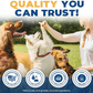 Jope Hip & Joint Chews | Natural UC-II Collagen + Omega-3 + Curcumin
