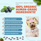 CocoTherapy Organic Coco-Charms | Blueberry Cobbler