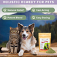 Inflapotion Powder | Natural Inflammation Support