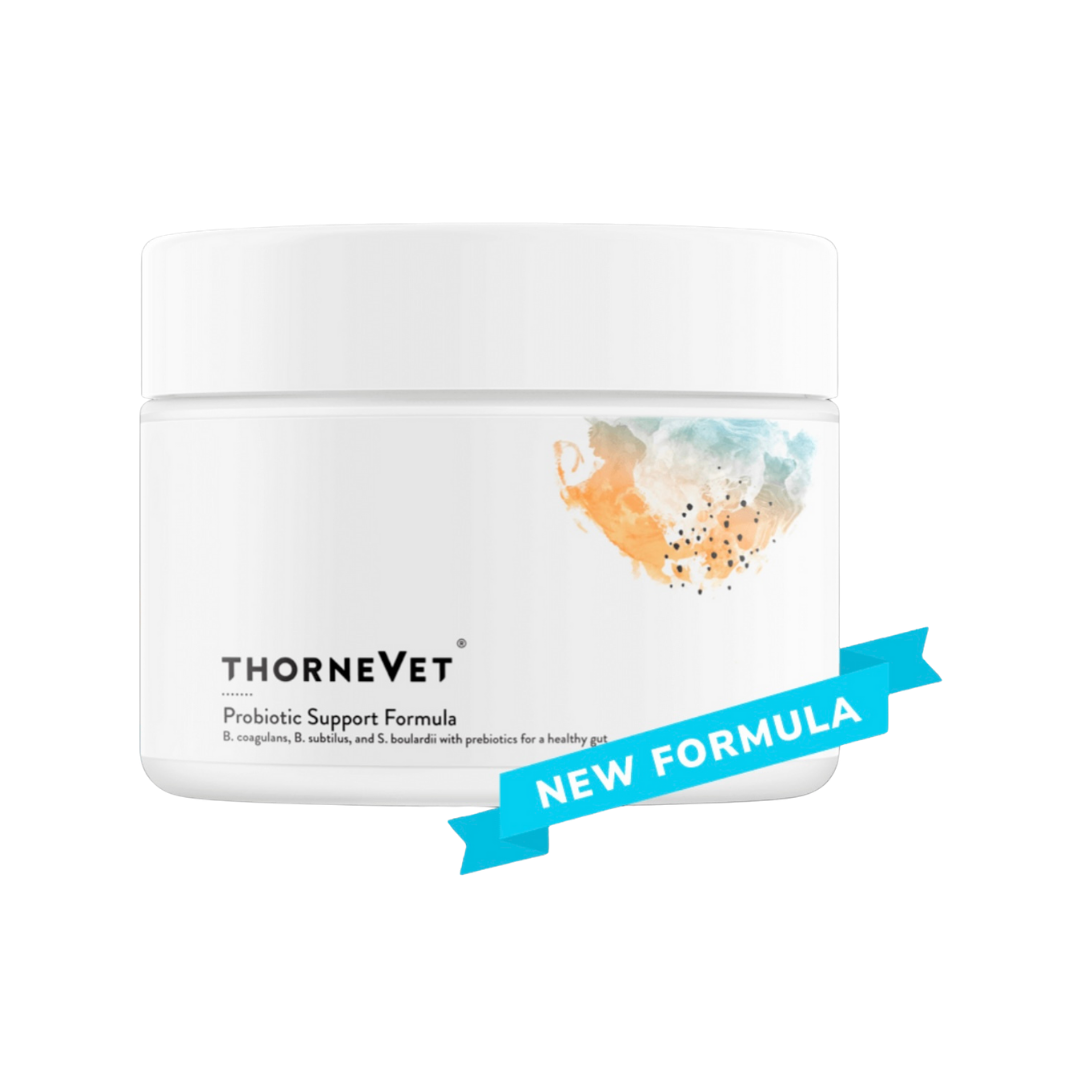 ThorneVet Probiotic Support | Soil-Based Probiotics + Sacc B + Prebiotics for Digestive Health