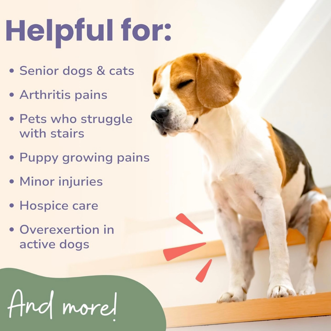 Glacier Peak Inflapotion Powder | Anti-Inflammatory