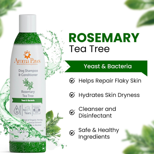 Aroma Paws Rosemary Tea Tree Shampoo | Yeast + Bacteria