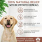Organic Conditioning Shampoo | Cedar + Peppermint + Eucalyptus