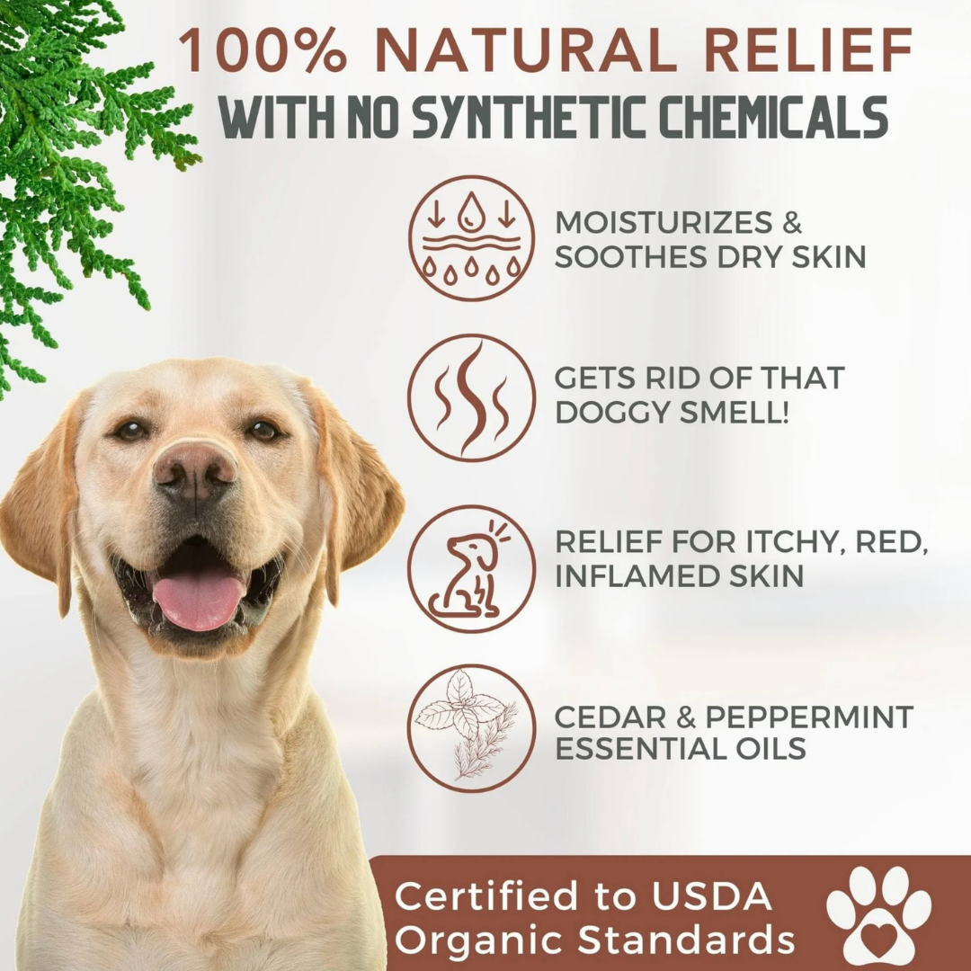 4-Legger Organic Conditioning Shampoo | Cedar + Peppermint + Eucalyptus