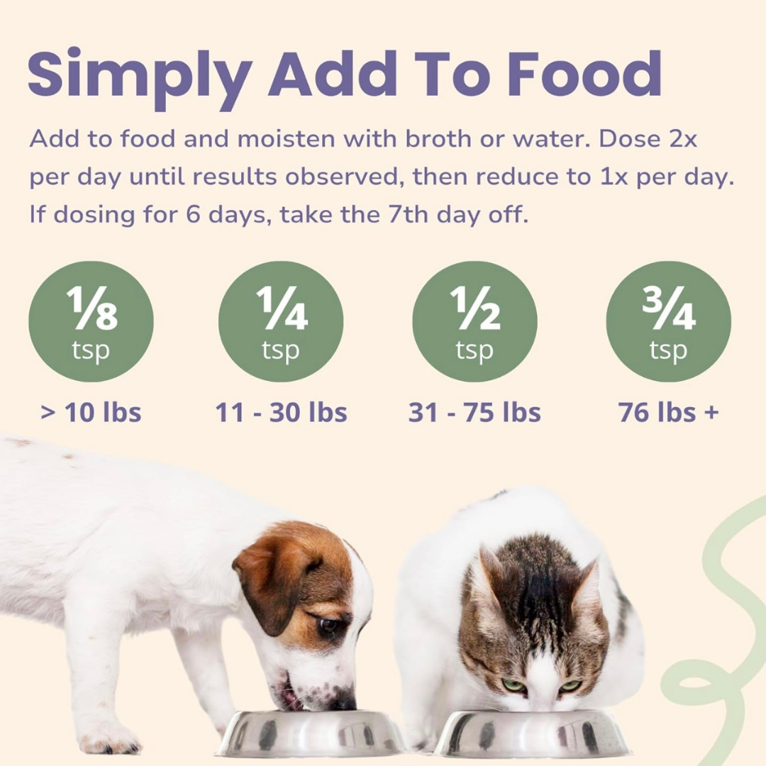 Glacier Peak Inflapotion Powder | Anti-Inflammatory