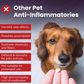 Inflapotion Powder | Natural Inflammation Support