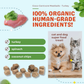CocoTherapy Coco-Carnivore Meatballs | Turkey