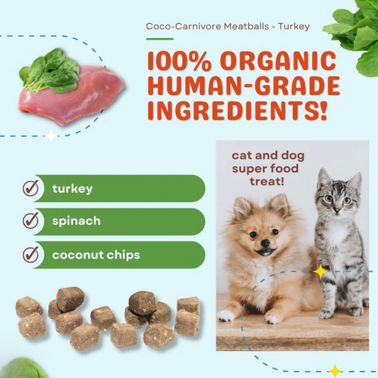 CocoTherapy Coco-Carnivore Meatballs | Turkey