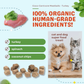 CocoTherapy Coco-Carnivore Meatballs | Turkey
