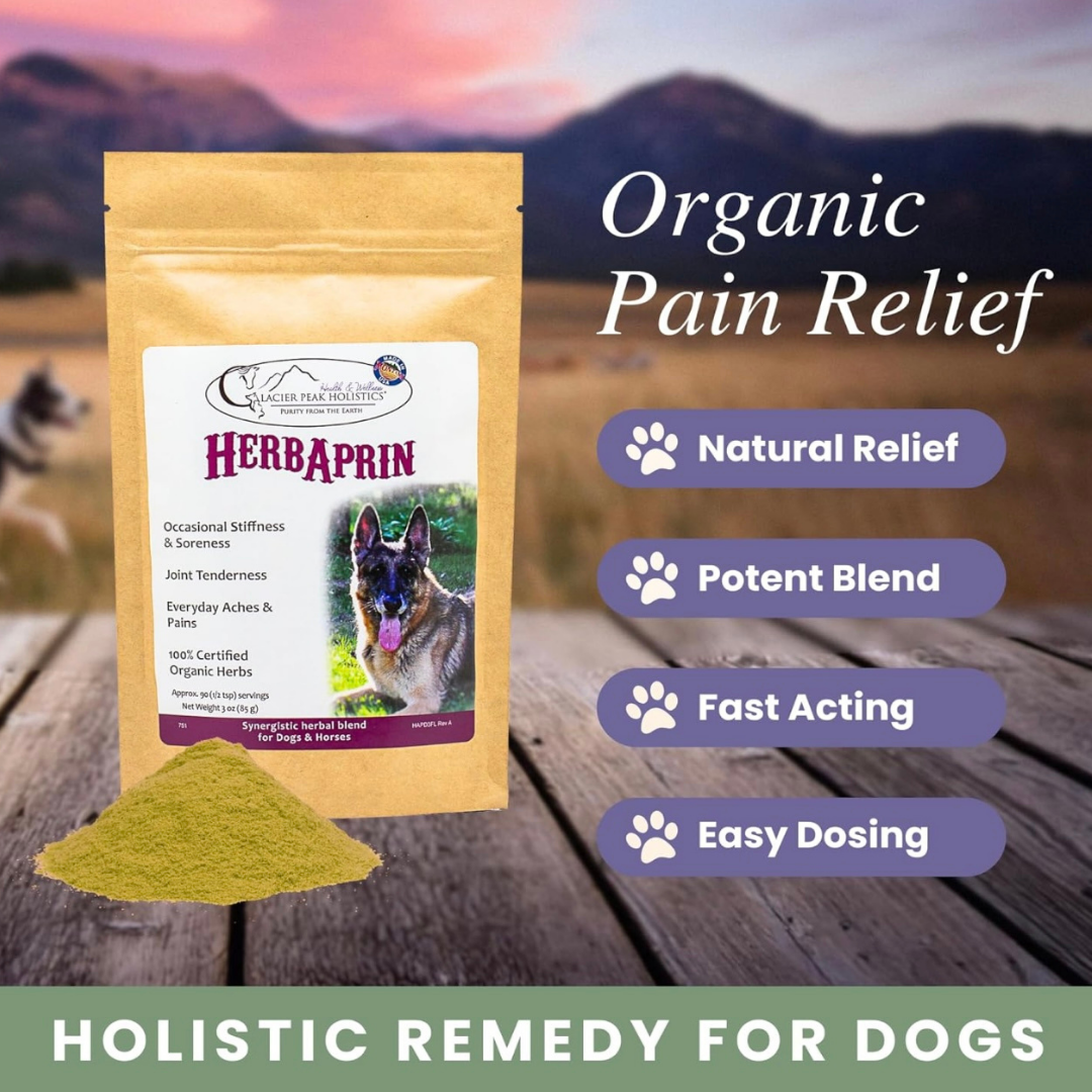 Glacier Peak HerbAprin Powder | Pain Relief