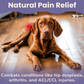 Glacier Peak HerbAprin | Herbal Pain Relief + Sleep Support