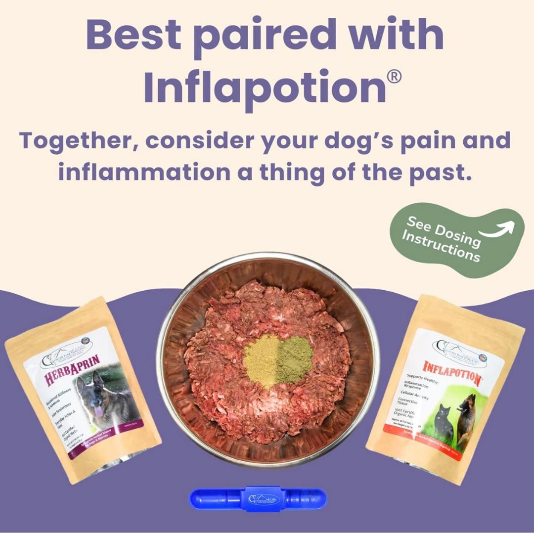 Glacier Peak HerbAprin Powder | Pain Relief