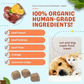 CocoTherapy Coco-Carnivore Meatballs | Beef