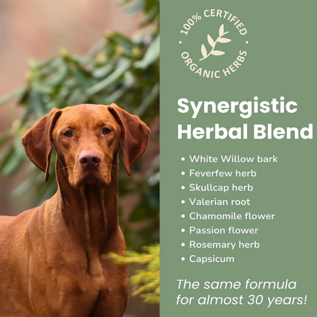 Glacier Peak HerbAprin Tincture | Pain Relief