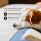 Glacier Peak HerbAprin | Herbal Pain Relief + Sleep Support