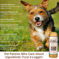 Organic Conditioning Shampoo | Cedar + Peppermint + Eucalyptus
