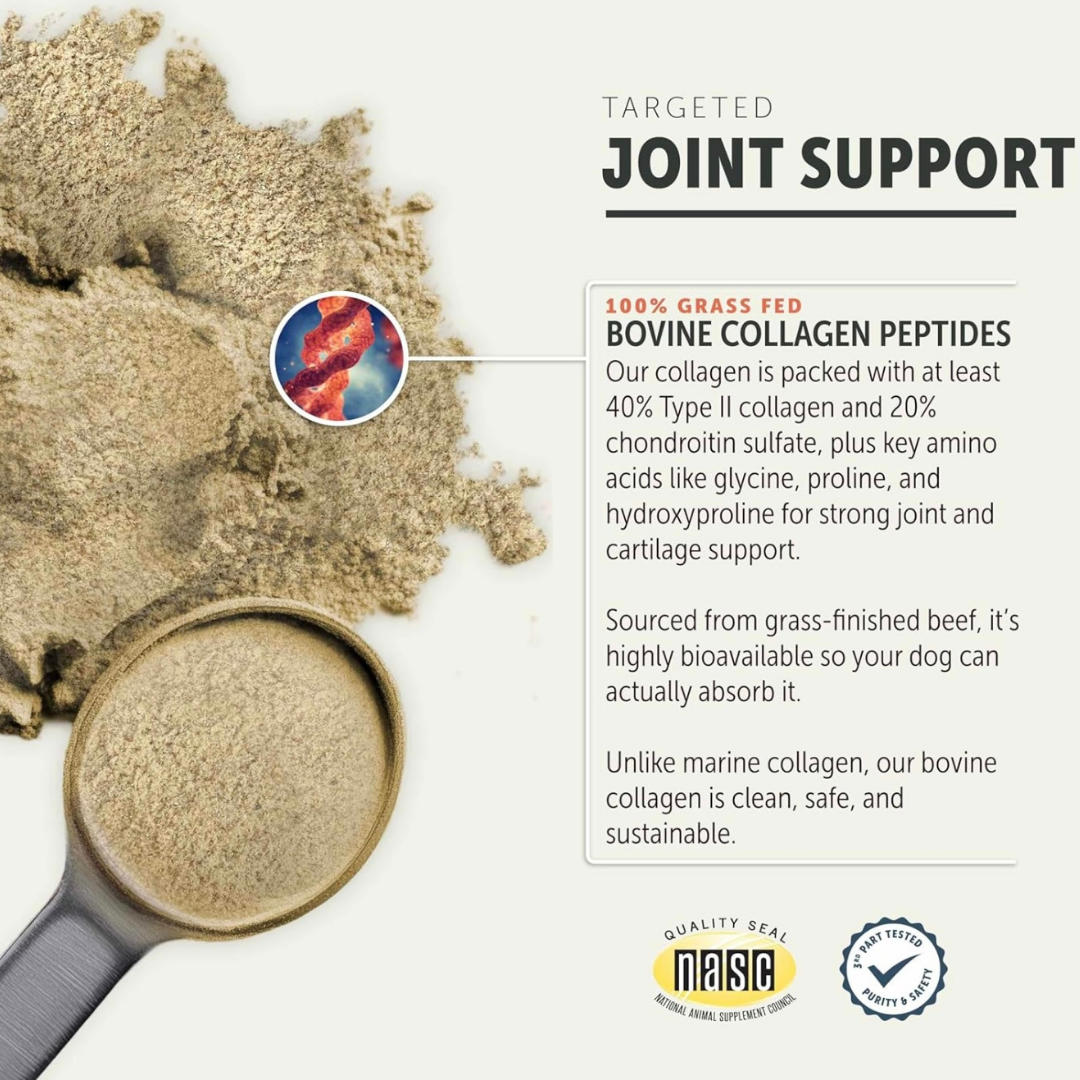 Four Leaf Rover Collagen | Joint + Skin + Gut Support with Type II Collagen