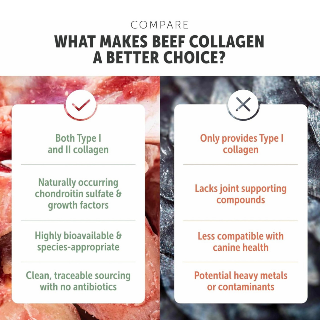 Four Leaf Rover Collagen | Joint + Skin + Gut Support with Type II Collagen