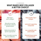 Four Leaf Rover Collagen | Joint + Skin + Gut Support with Type II Collagen