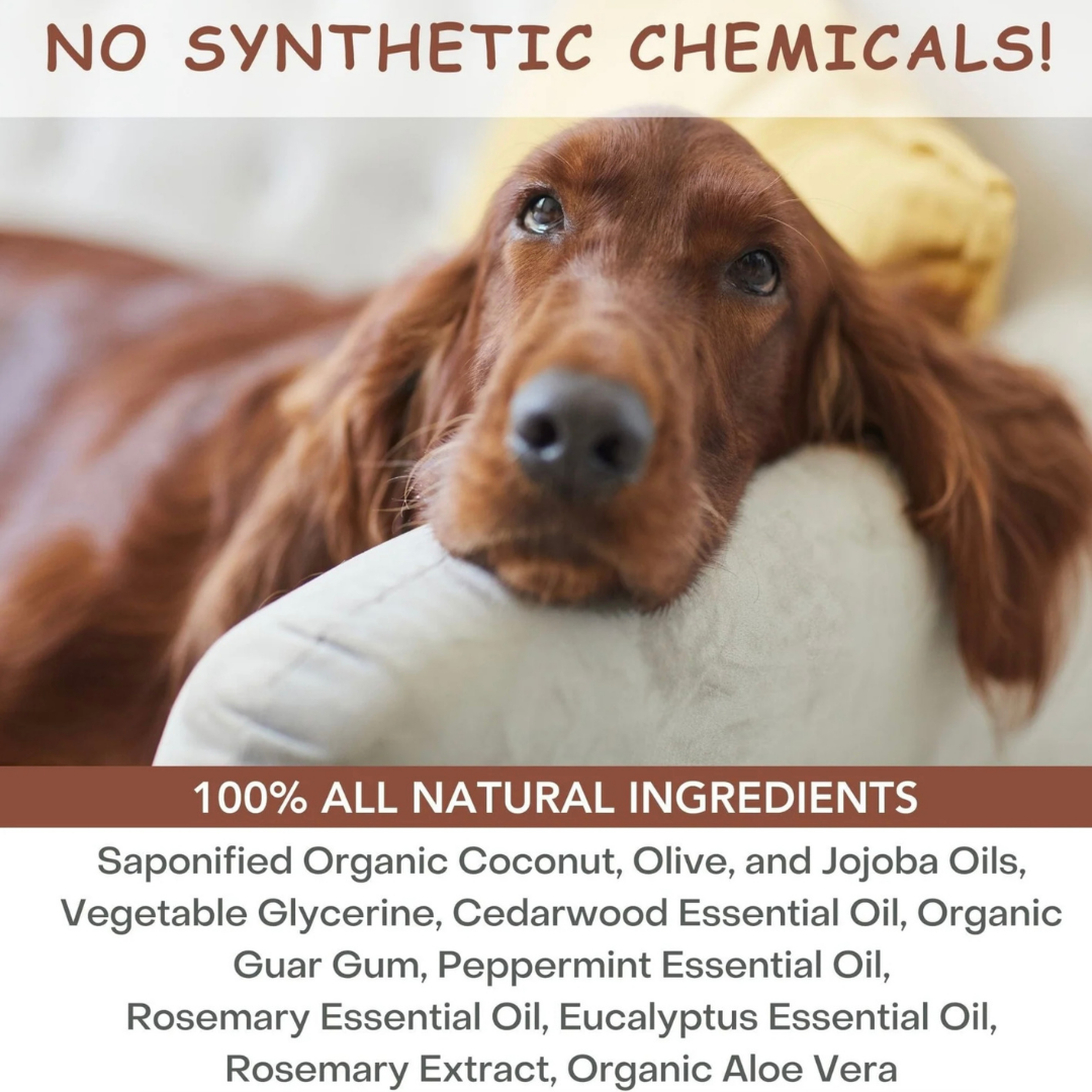 4-Legger Organic Conditioning Shampoo | Cedar + Peppermint + Eucalyptus