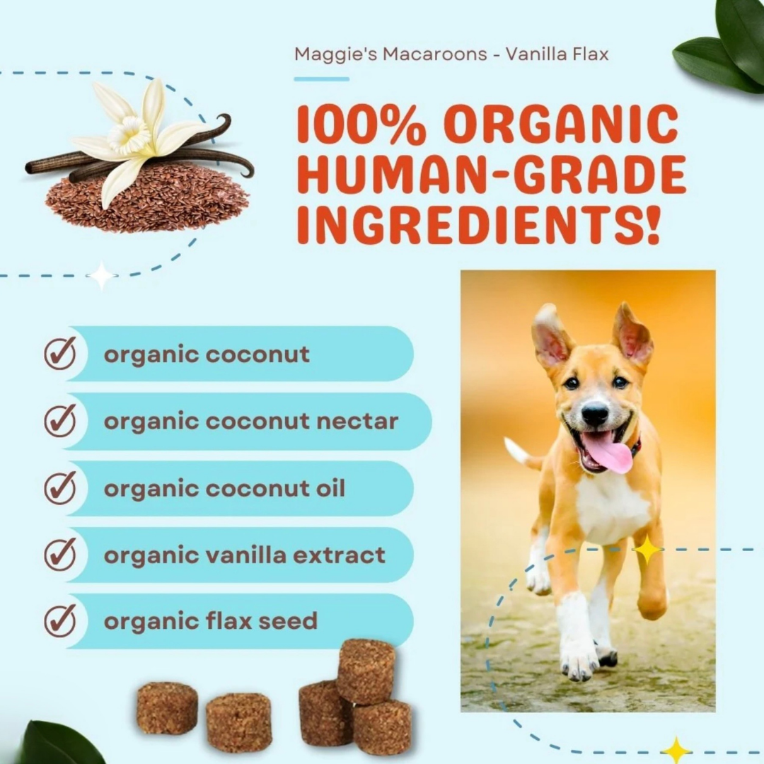 CocoTherapy Organic Maggie's Macaroons | Vanilla Flax