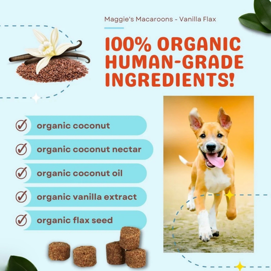 CocoTherapy Organic Maggie's Macaroons | Vanilla Flax