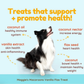 CocoTherapy Organic Maggie's Macaroons | Vanilla Flax